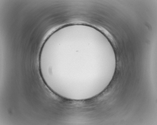 X0000115511191200911271424