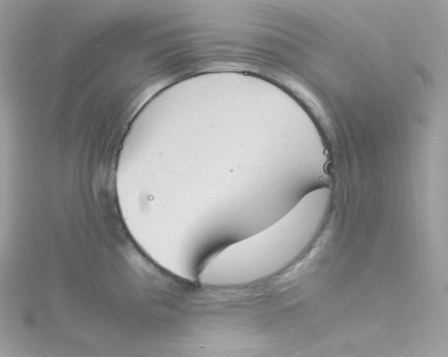 X0000115511193200911271424