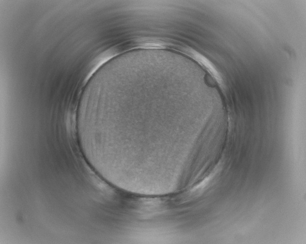 X0000115511194200911271424