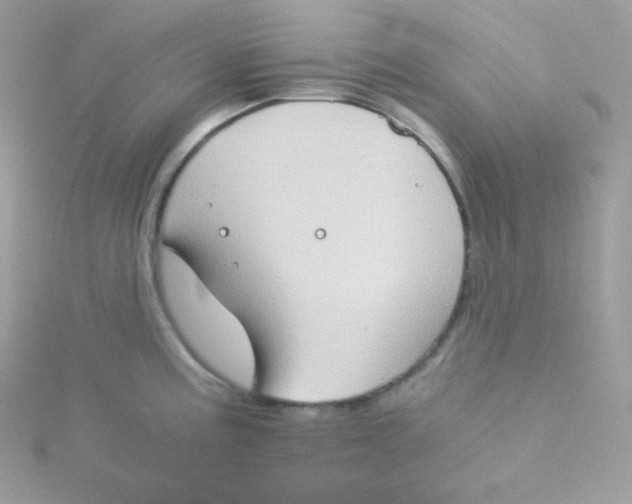 X0000115511195200911271424