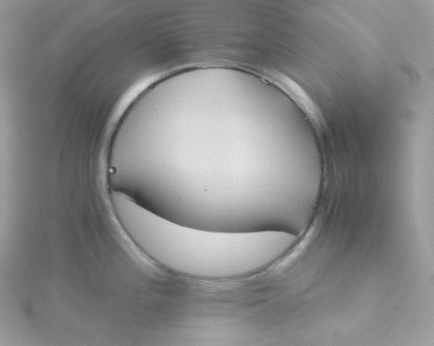 X0000115511196200911271424