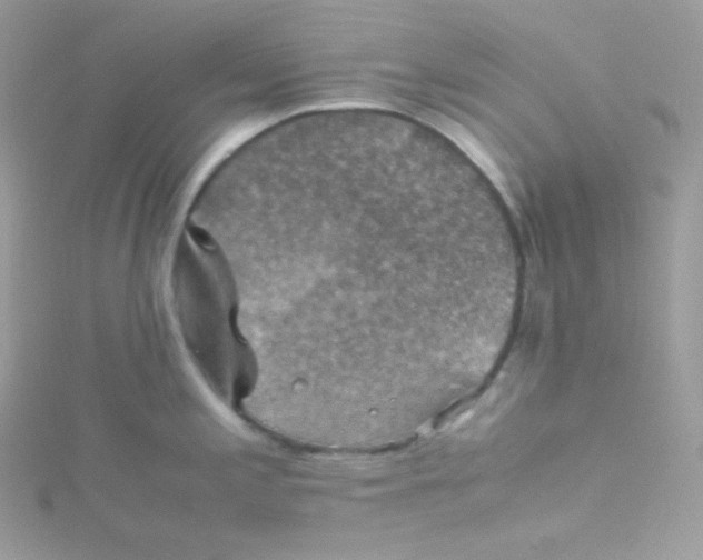 X0000115511197200911271424