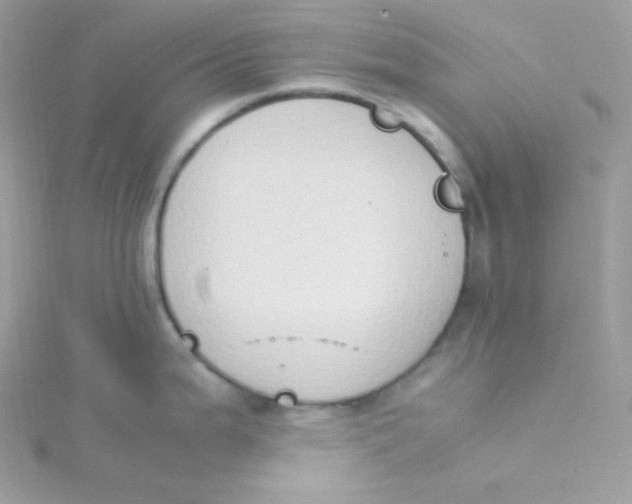 X0000115511199200911271424