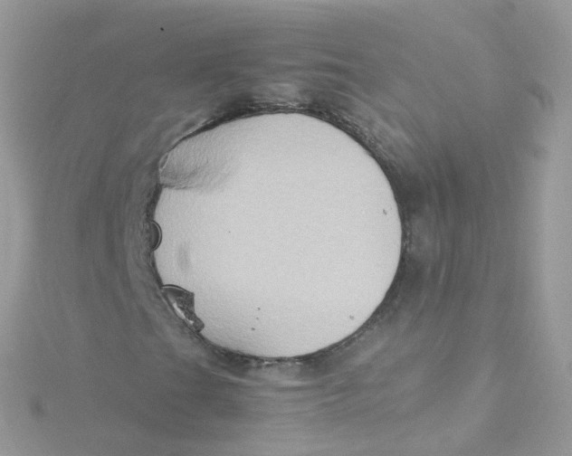 X0000115511201200911271423