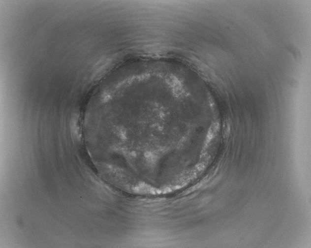 X0000115511202200911271423