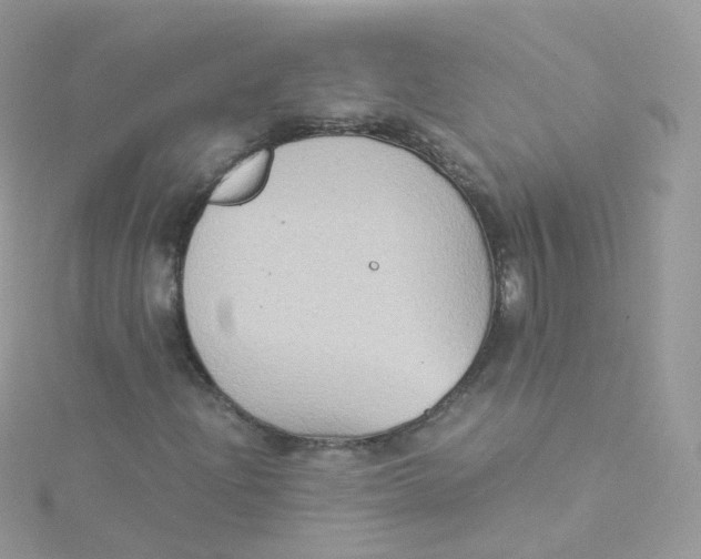 X0000115511204200911271423