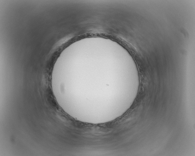 X0000115511207200911271423