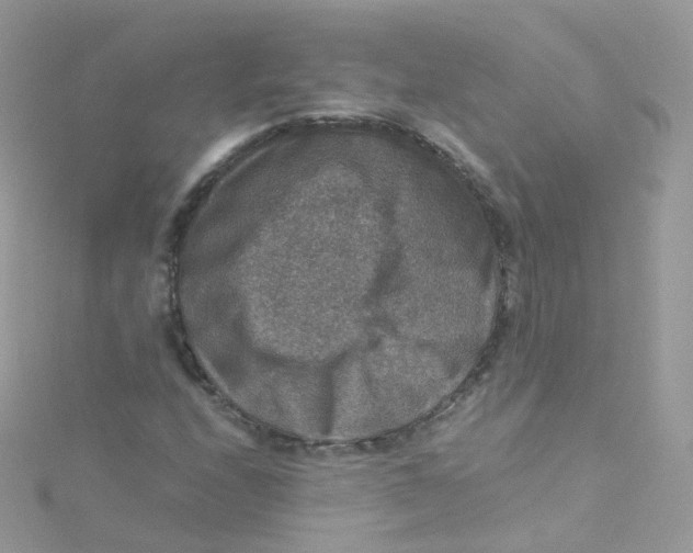 X0000115511208200911271423