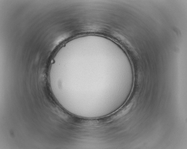 X0000115511210200911271423