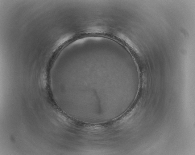 X0000115511213200911271423