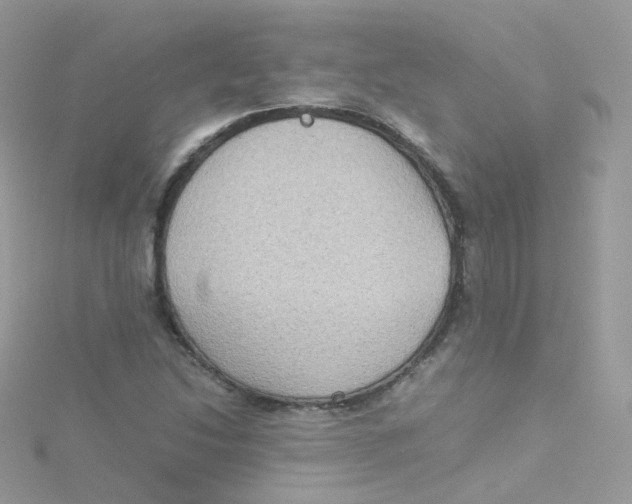 X0000115511214200911271423