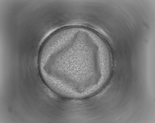 X0000115511216200911271423