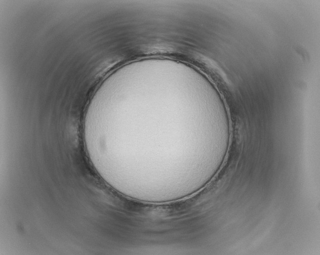 X0000115511217200911271423