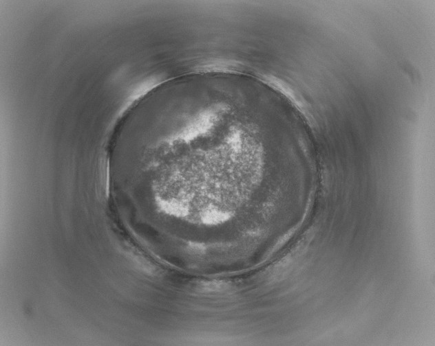 X0000115511219200911271424