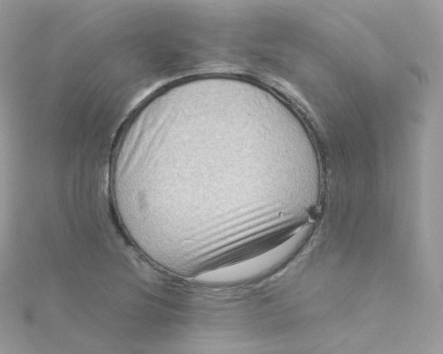 X0000115511220200911271424