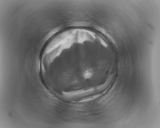 X0000115511221200911271424