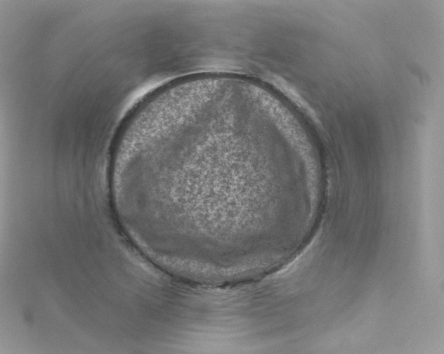 X0000115511222200911271424