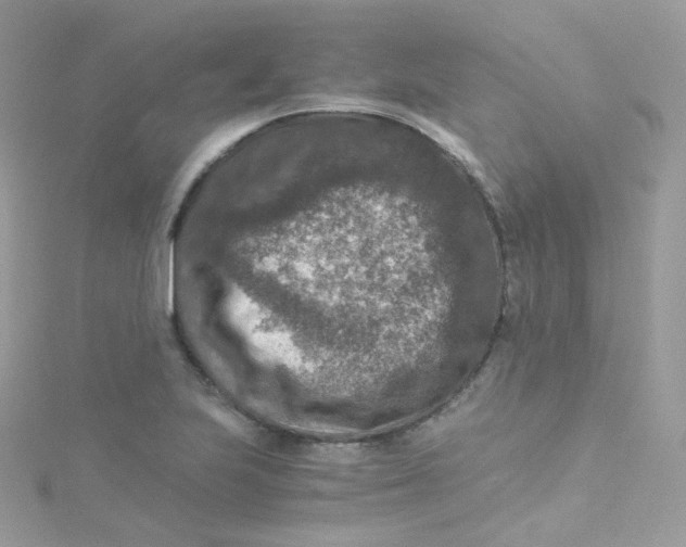 X0000115511223200911271424