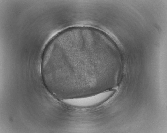 X0000115511224200911271424