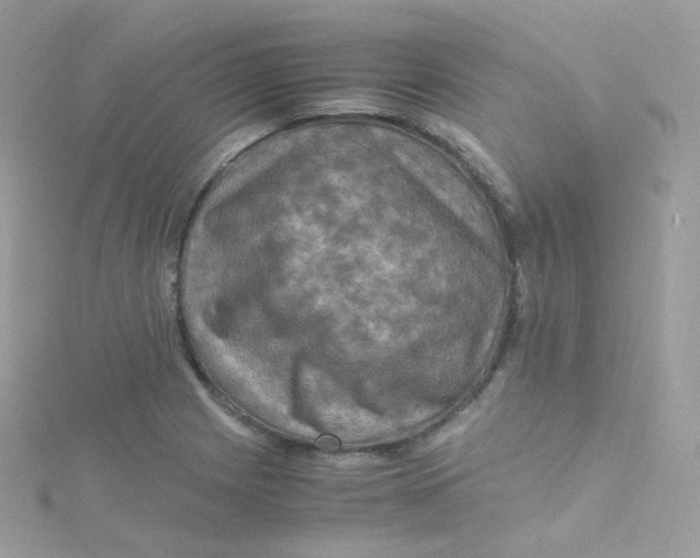 X0000115511225200911271424