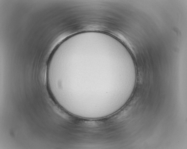 X0000115511227200911271424