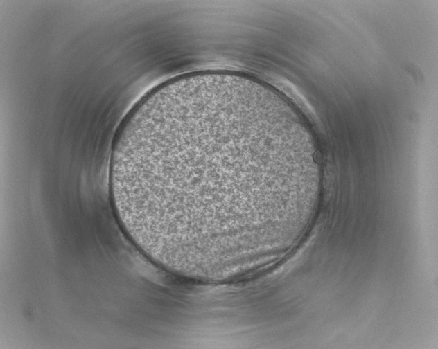 X0000115511228200911271424