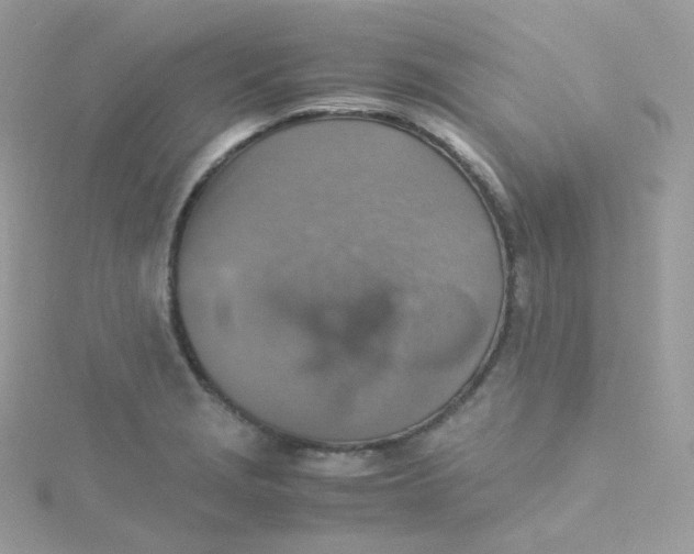 X0000115511229200911271424