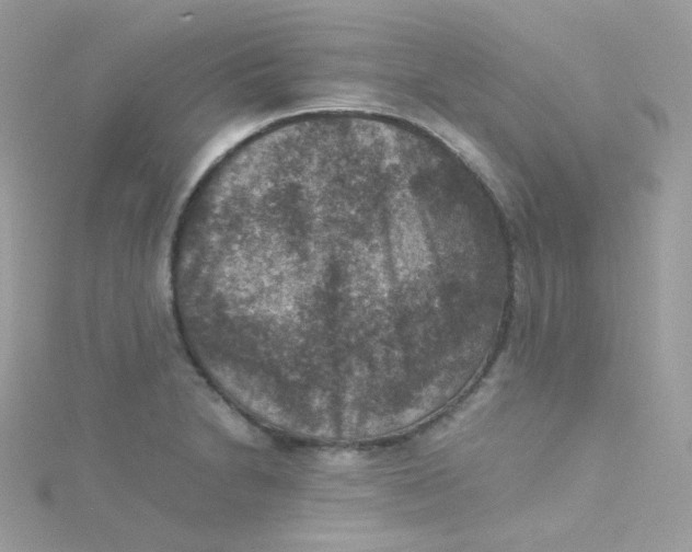 X0000115511230200911271424