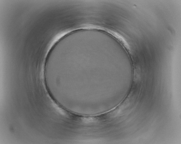 X0000115511231200911271424