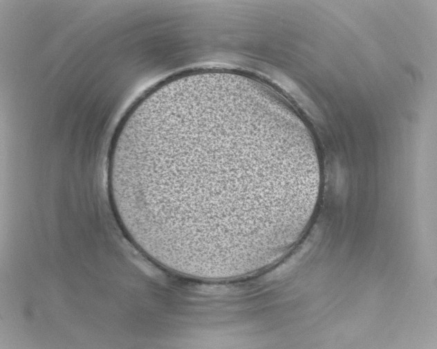 X0000115511232200911271424