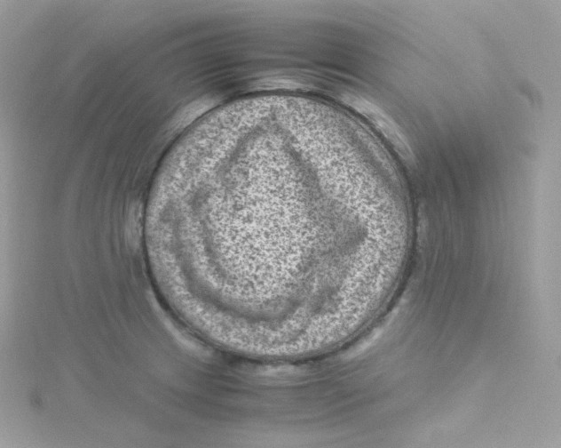 X0000115511233200911271424