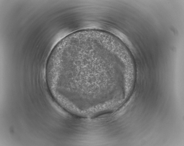 X0000115511234200911271424