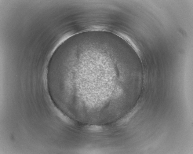 X0000115511235200911271424