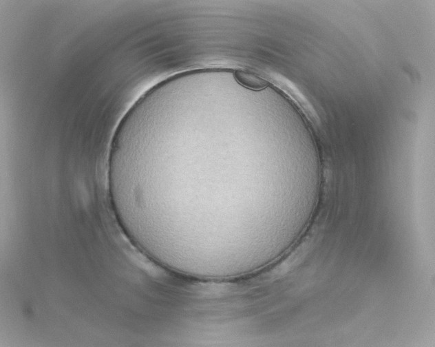 X0000115511236200911271424