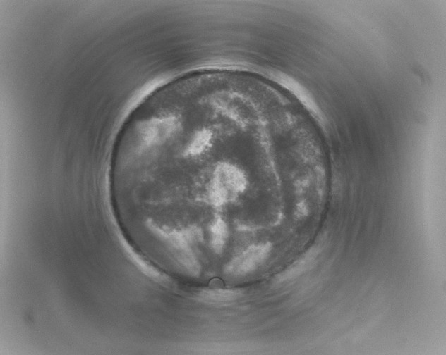 X0000115511237200911271424