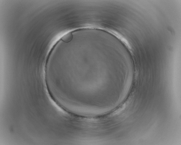 X0000115511239200911271424