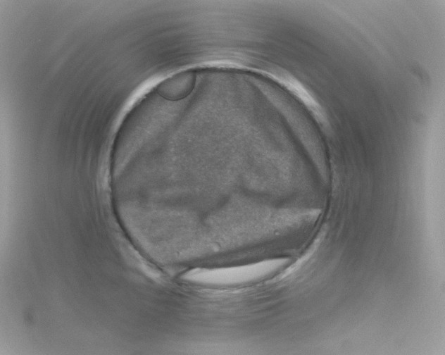 X0000115511240200911271424