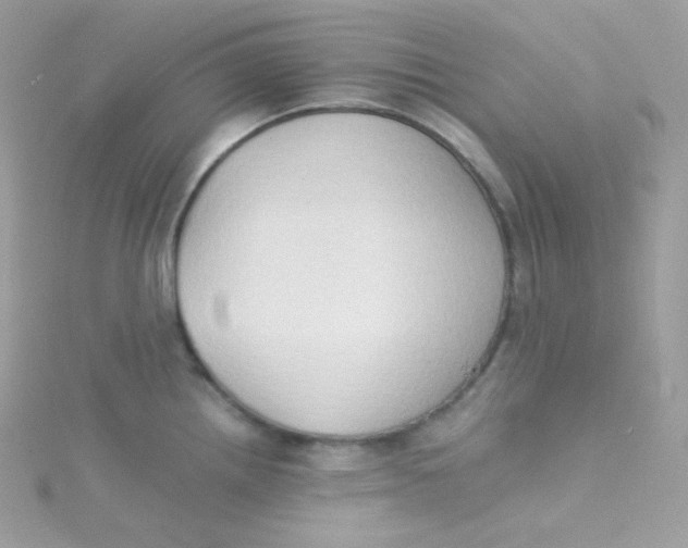 X0000115511242200911271424