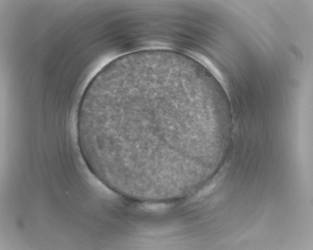 X0000115511243200911271424