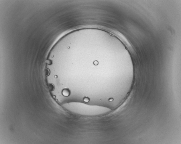 X0000115511244200911271424