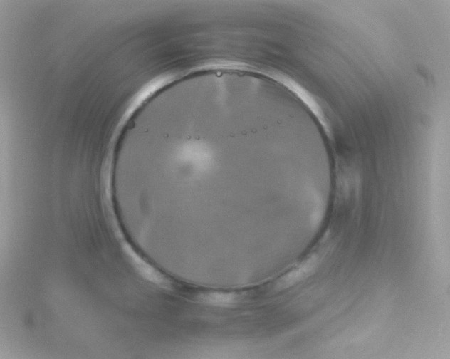 X0000115511245200911271424