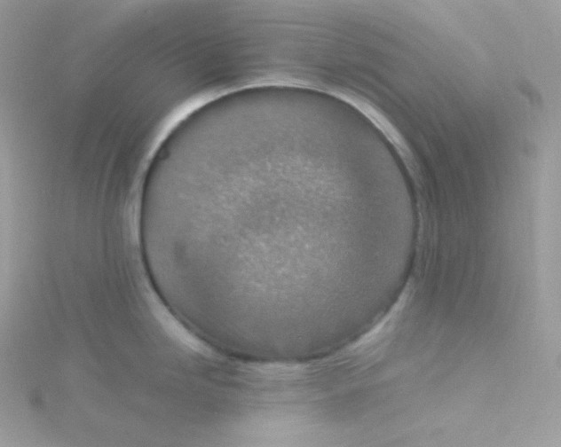 X0000115511246200911271424