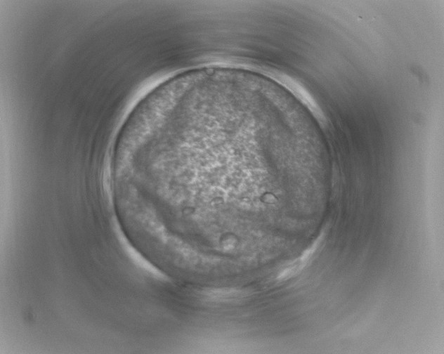 X0000115511247200911271424