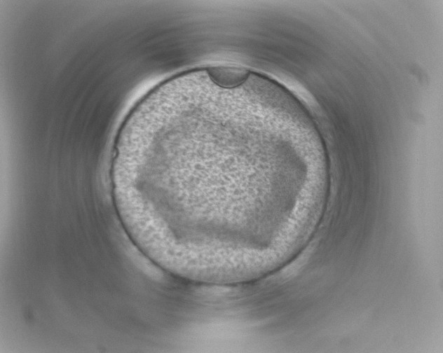 X0000115511248200911271424