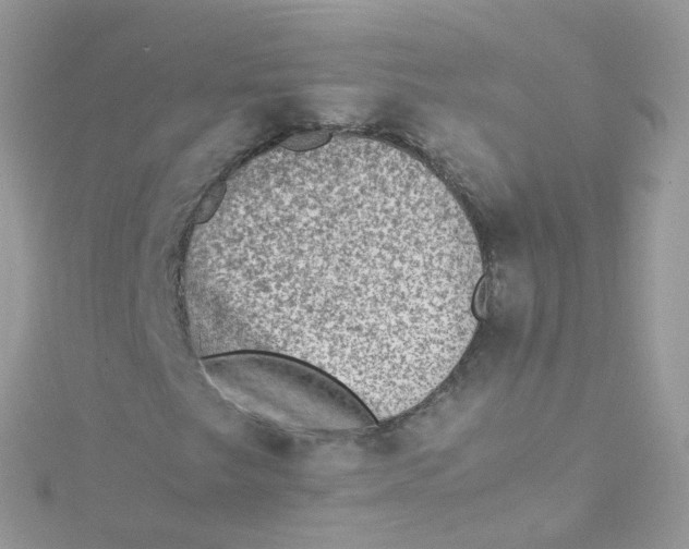 X0000115511249200911271423