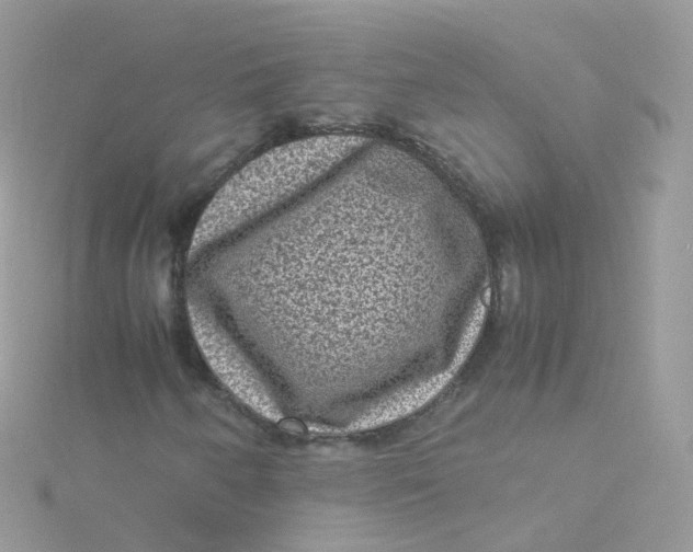 X0000115511250200911271423