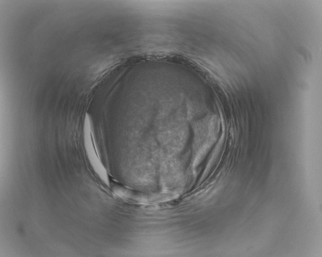 X0000115511252200911271423