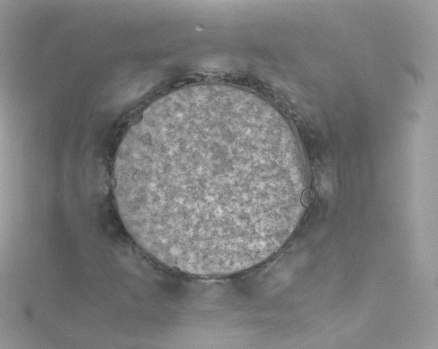 X0000115511253200911271423