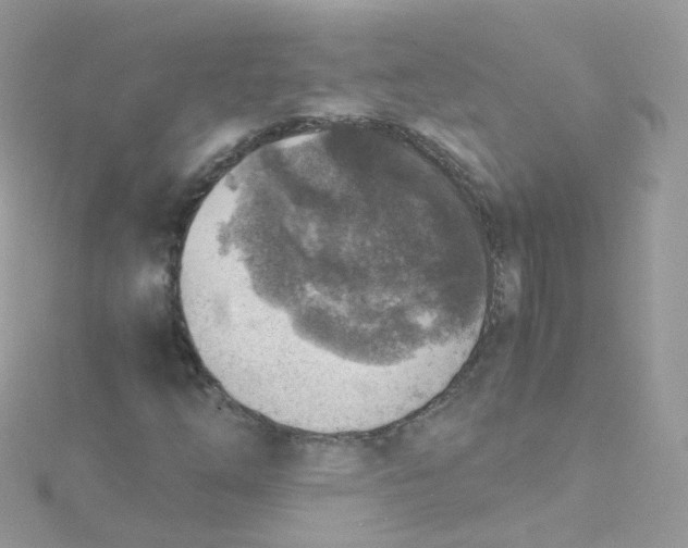 X0000115511254200911271423