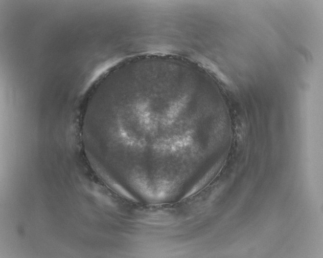 X0000115511256200911271423